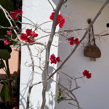 Mar De Fondo En Pedregalejo Apartment Malaga